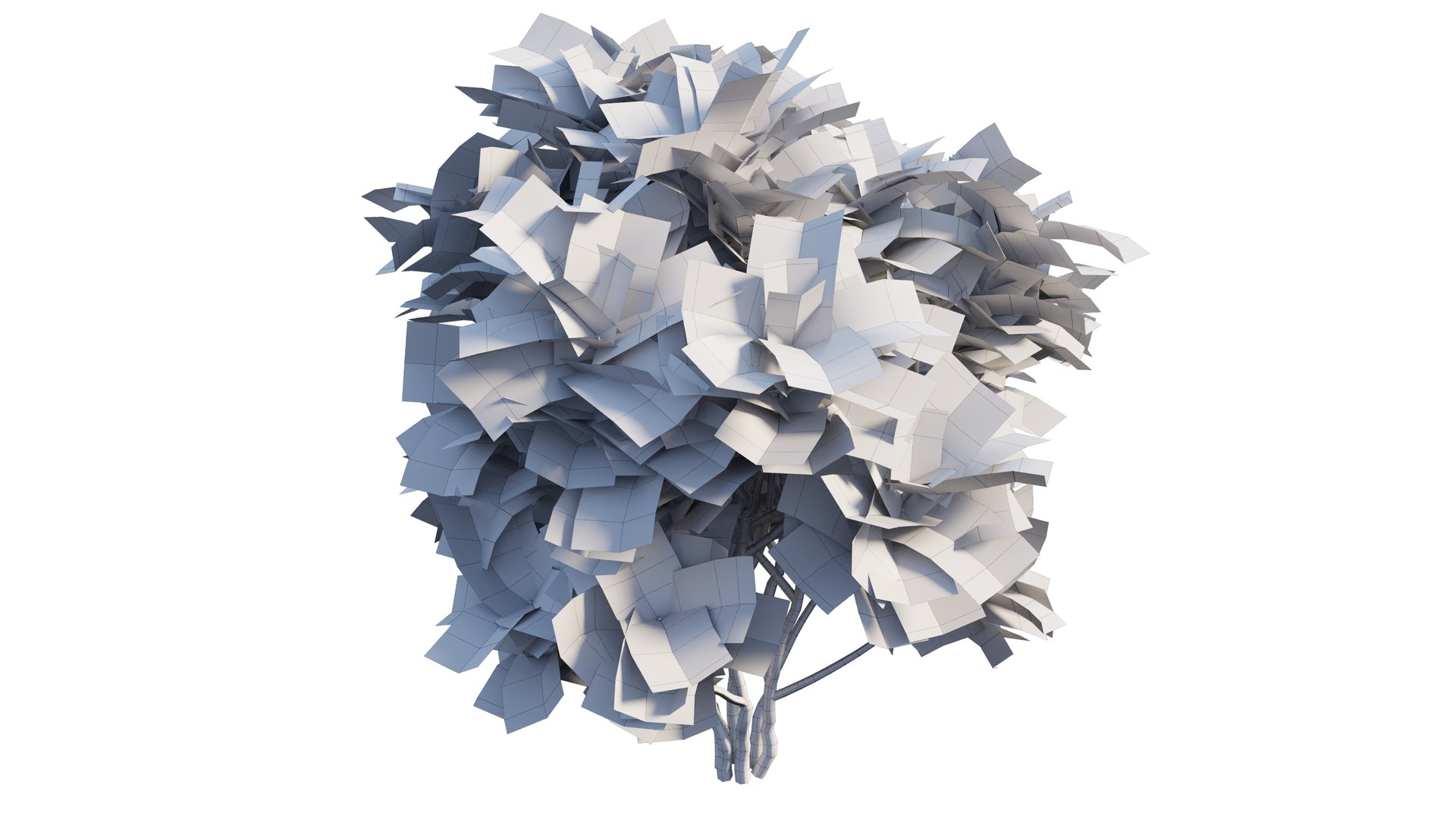 Croton plant set 12 3D model https://p.turbosquid.com/ts-thumb/tr/Sh5eqz/od/7_interactivelightmix/png/1629822369/1920x1080/fit_q87/687d6c6db46b25061bbfdf7d81d596ffc9331981/7_interactivelightmix.jpg