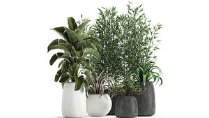 3D plants flowerpots