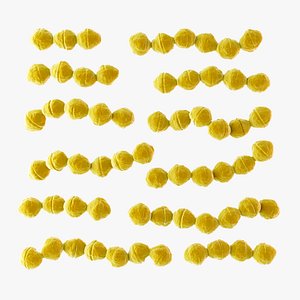 STSS Bacteria