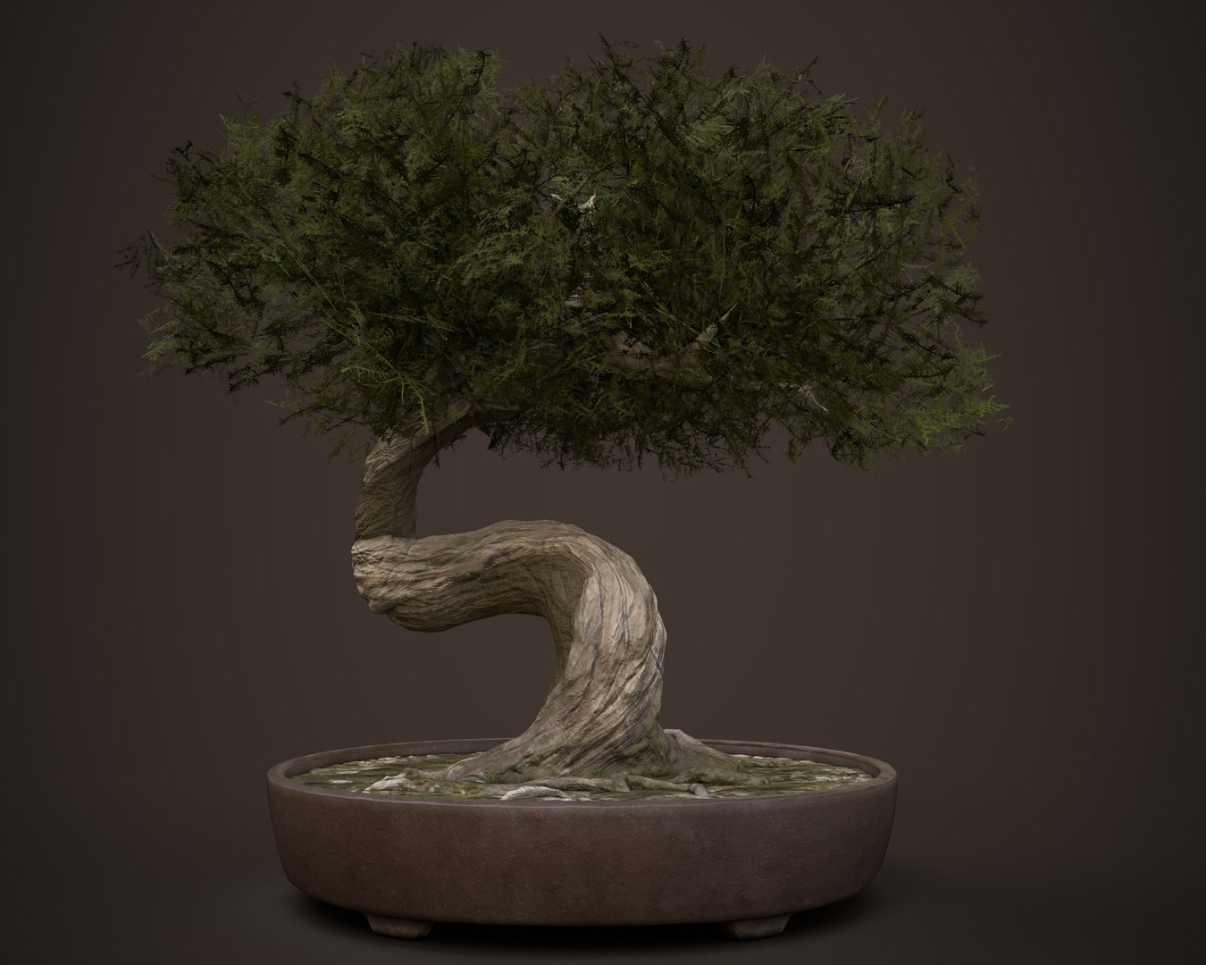 3D Bonsai Game Asset TurboSquid 1771174