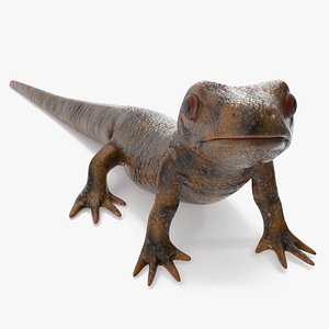 Gallipato Standing Pose