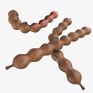 fruits 3D model