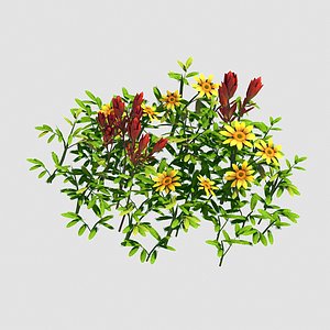 small plants - shanhua 3D model