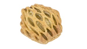 apple slice - versions ma