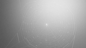 Orbe Web