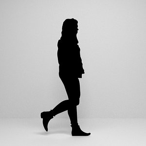 3D silhouette scenes model