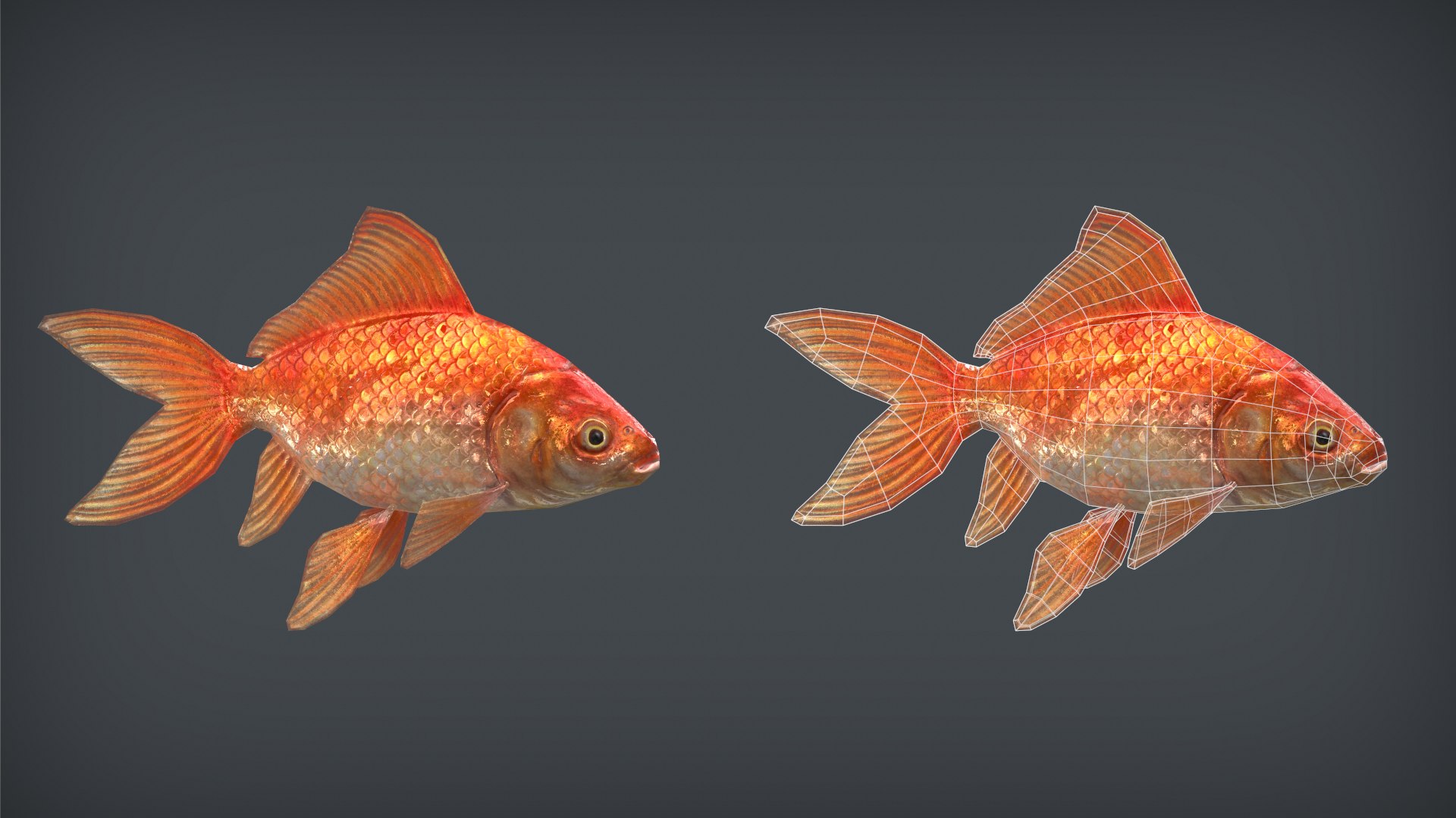 3D model goldfish pbr ready context https://p.turbosquid.com/ts-thumb/tr/v7Da3V/NyTvjDEz/side/png/1601900418/1920x1080/fit_q87/b7b20d99bed5b4aa4280878cc7dcb7ce1202dc9a/side.jpg