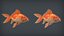 Goldfish - PBR Game Ready - Context Scene Bonus