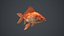 Goldfish - PBR Game Ready - Context Scene Bonus