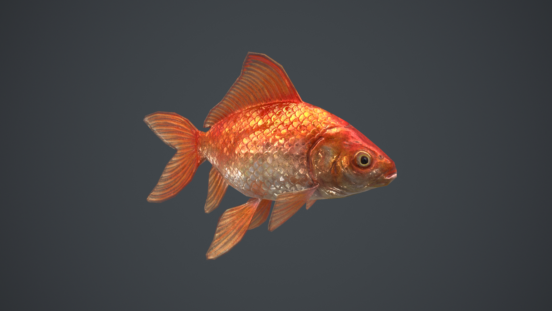 3D model goldfish pbr ready context https://p.turbosquid.com/ts-thumb/tr/v7Da3V/aH49MPWL/gold/png/1601900524/1920x1080/turn_fit_q99/1bfbbec4ec90aacba949ff40a4424f49b6c94ea1/gold-1.jpg