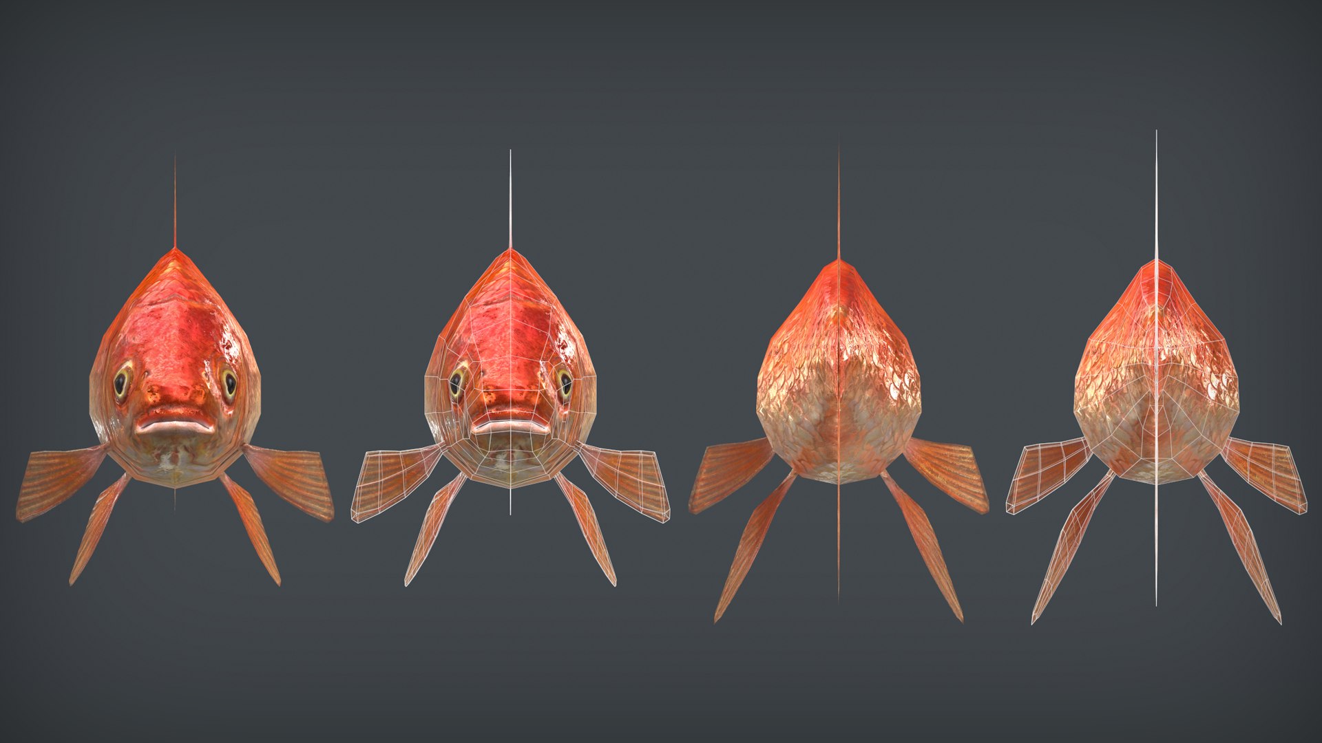 3D model goldfish pbr ready context https://p.turbosquid.com/ts-thumb/tr/v7Da3V/oKydJMvS/frontback/png/1601900433/1920x1080/fit_q87/1f249bc952782746dd59da29edbccbf0e407f80c/frontback.jpg