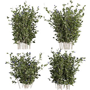 Collection plant vol 933 V-ray 6 max 2015 3D model