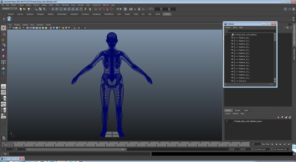 Modelo 3d Cuerpo Femenino Con Esqueleto - Turbosquid 1230779