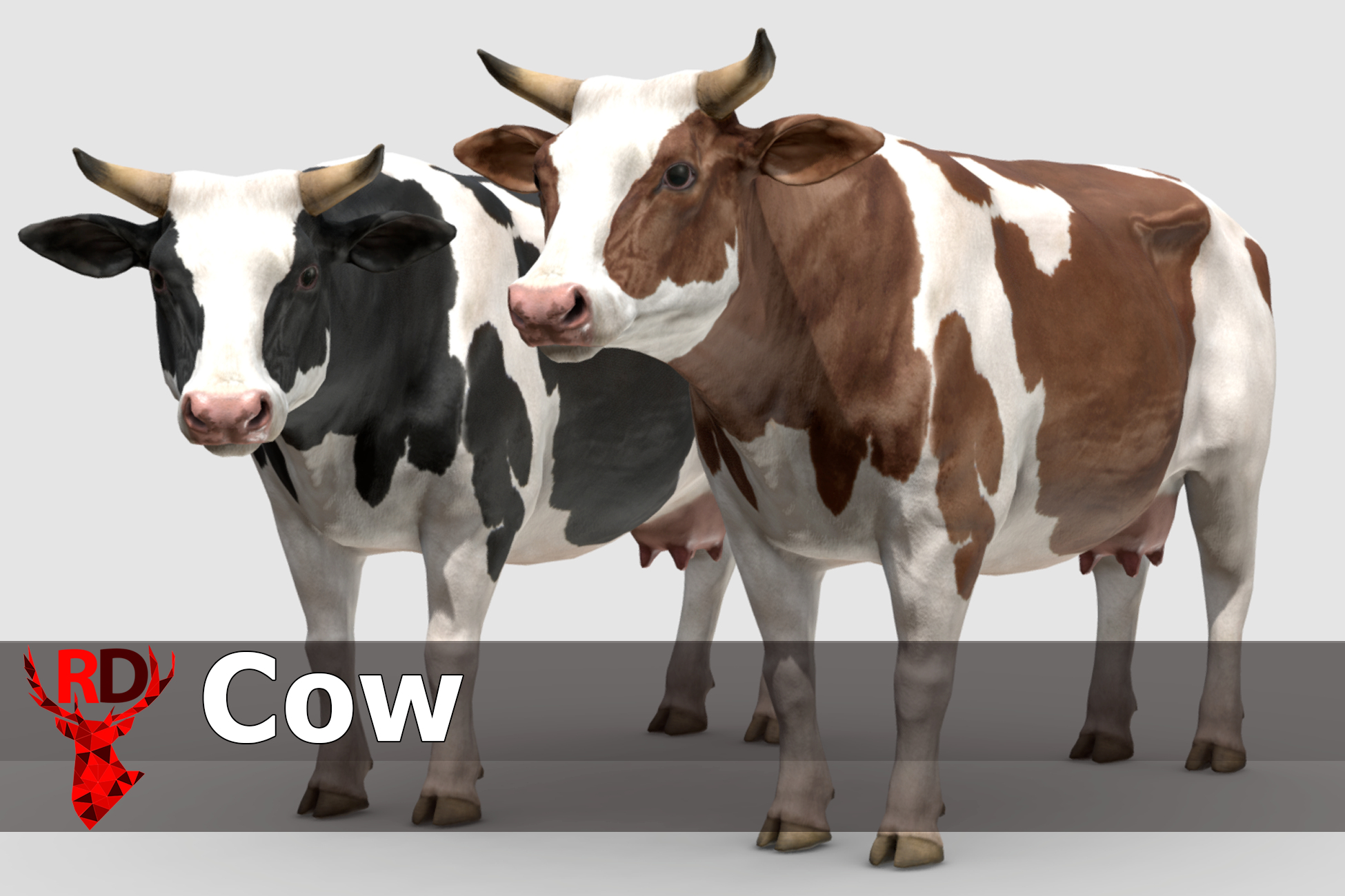Cow animations 3D model - TurboSquid 1636028
