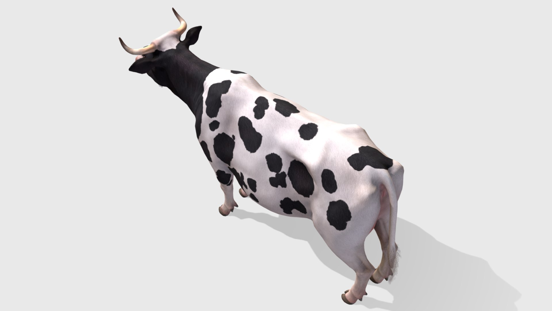 Cow Animations 3D Model - TurboSquid 1636028
