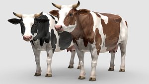 cow animations 3D model