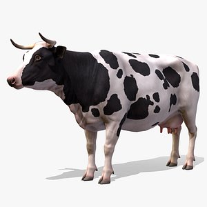 Cow gameready