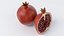 Cartoon Pomegranate Set 3D model