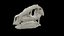3D heterodontosaurus skull