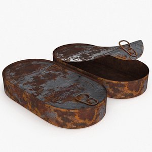 3D Tin Can v5 Rust