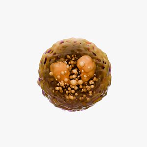 3D Eosinophil White Cell