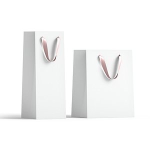 White Paper Gift Bag 2 Type - craft shopping packet set 3D model