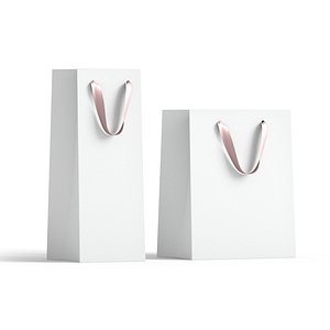 White Paper Gift Bag 2 Type - craft shopping packet set