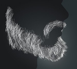 3D Beard RealTime 8 Version 1 model