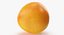 Grapefruit 02