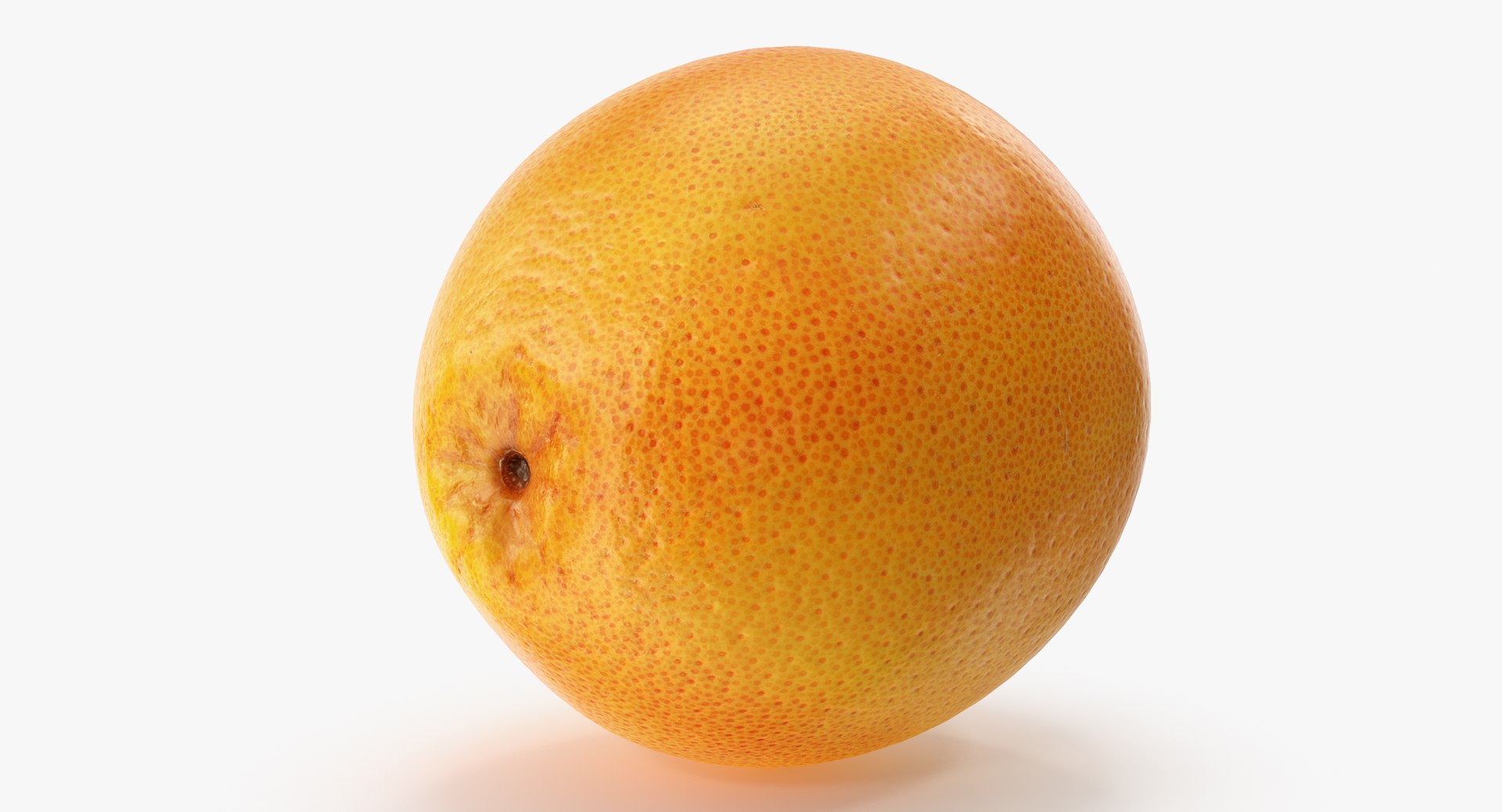 grapefruit 02 3D model https://p.turbosquid.com/ts-thumb/tt/2chQ9F/4Qxo8hwU/a2_0003copy/jpg/1565945393/1920x1080/fit_q87/9679782c0edb3785b4bc11e501b73c1a342dee53/a2_0003copy.jpg