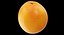 Grapefruit 02