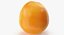 Grapefruit 02