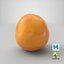 Grapefruit 02