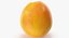 Grapefruit 02
