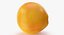 Grapefruit 02