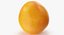 Grapefruit 02
