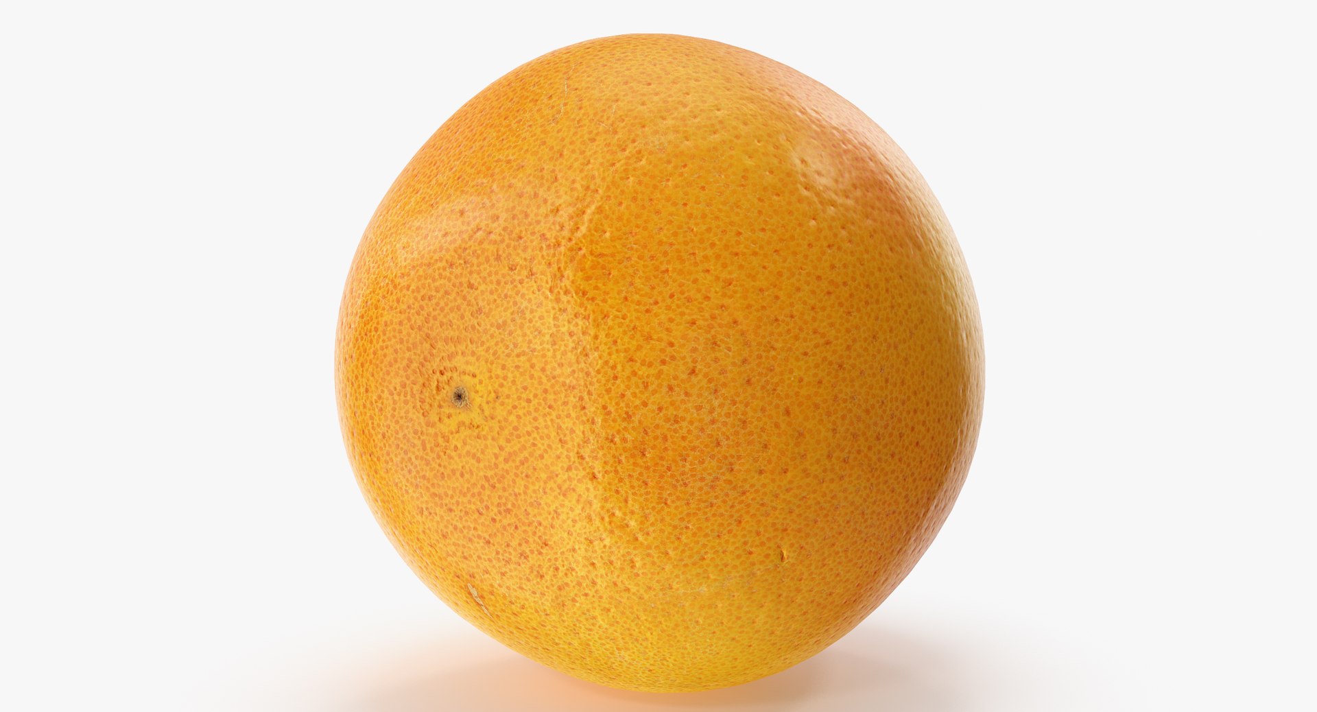 grapefruit 02 3D model https://p.turbosquid.com/ts-thumb/tt/2chQ9F/z1AhPGGo/a2_0012copy/jpg/1565945393/1920x1080/fit_q87/86989167c1160d0a29e5f04b6fabf499ed0d62fd/a2_0012copy.jpg
