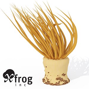 xfrogplants tube anemone animal 3d 3ds