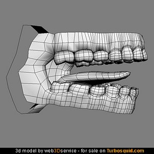 mouth interior teeth tongue 3d model