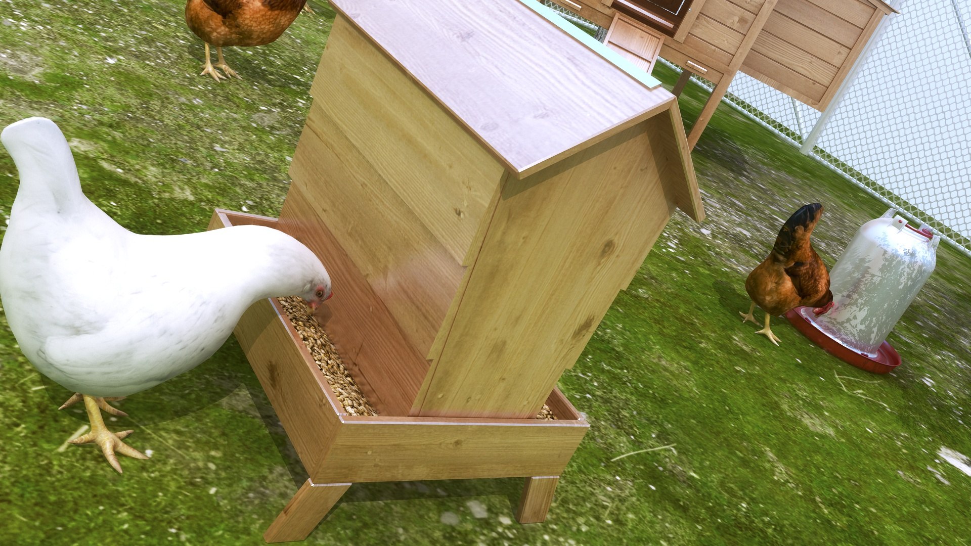 3D Model Chicken Small Farm - TurboSquid 1660117