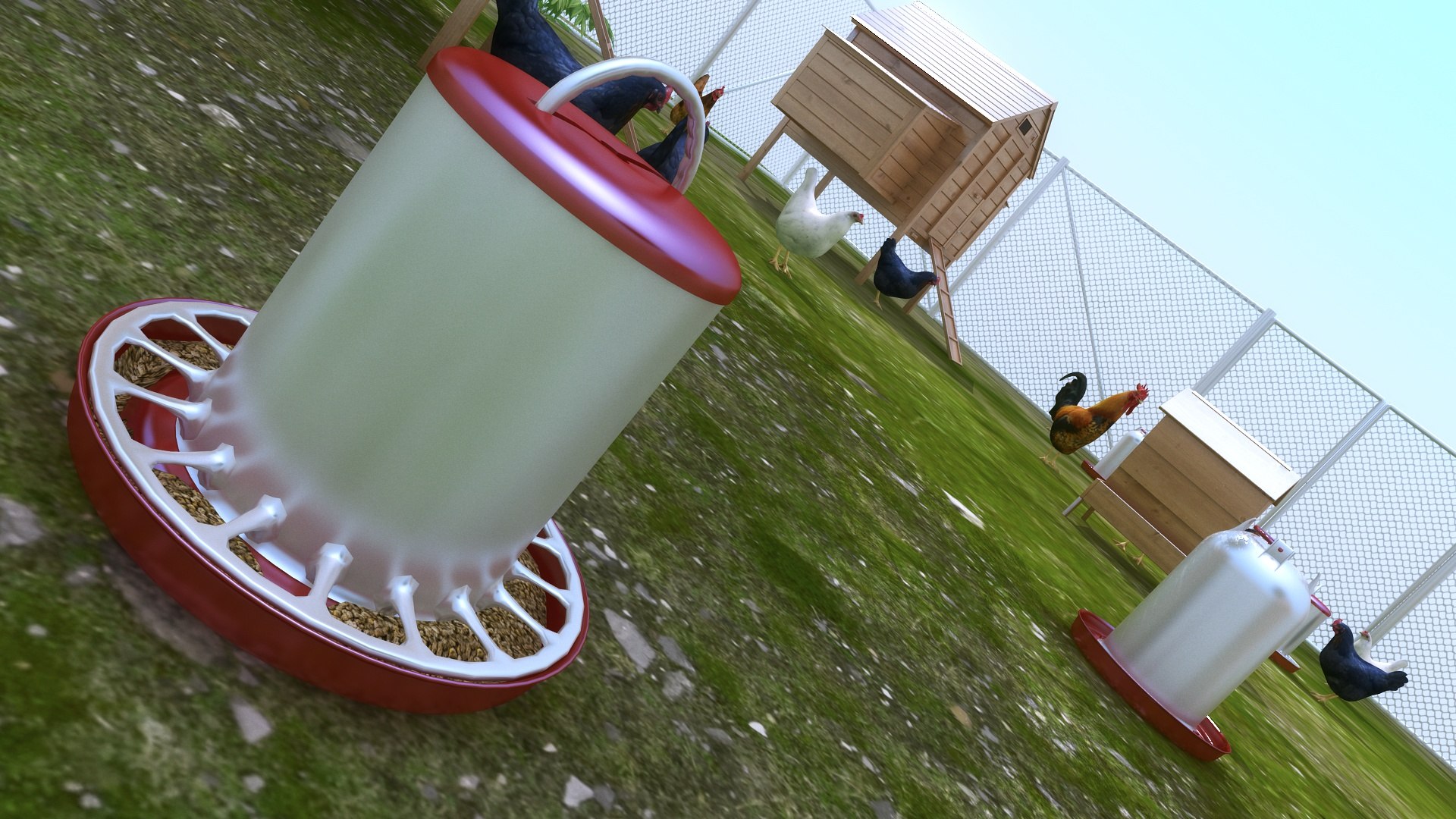 3D Model Chicken Small Farm - TurboSquid 1660117