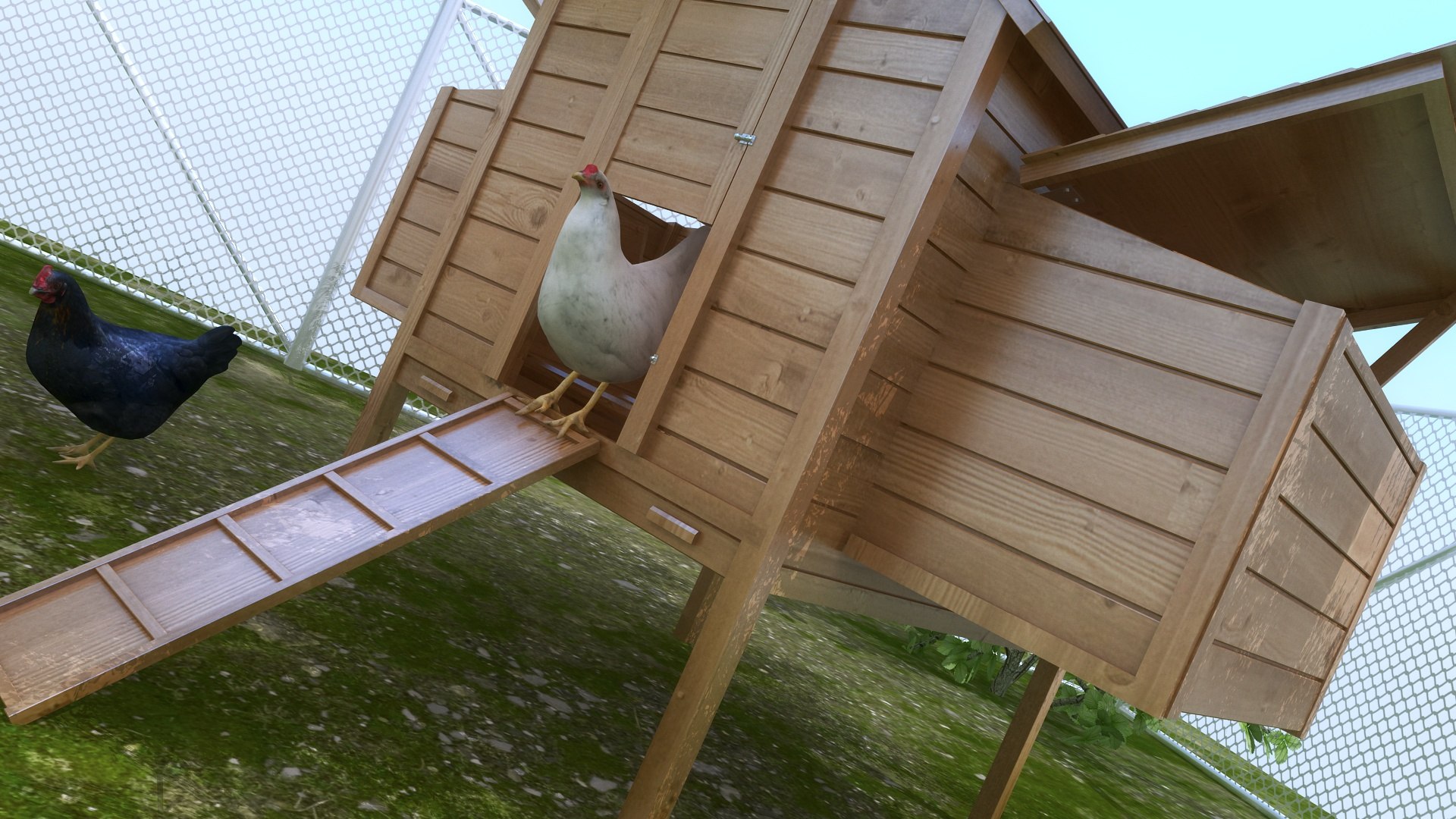 3D Model Chicken Small Farm - TurboSquid 1660117