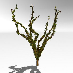 Animated Falling down leaves