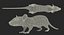 Rat Rigged