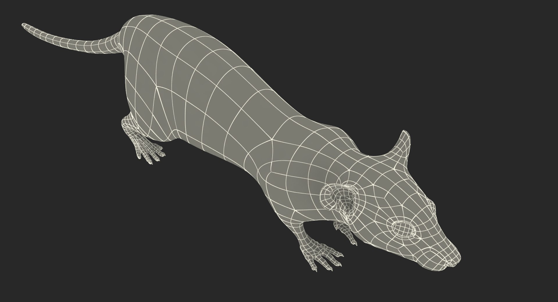 3D rat rigged https://p.turbosquid.com/ts-thumb/tt/TGOrB0/KCHI77KQ/ratriggedc4dmodel015/jpg/1499836269/1920x1080/fit_q87/d3b83ae9a825383de6fdabeb7cf0f08fdc78de9f/ratriggedc4dmodel015.jpg
