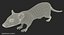Rat Rigged
