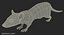 Rat Rigged