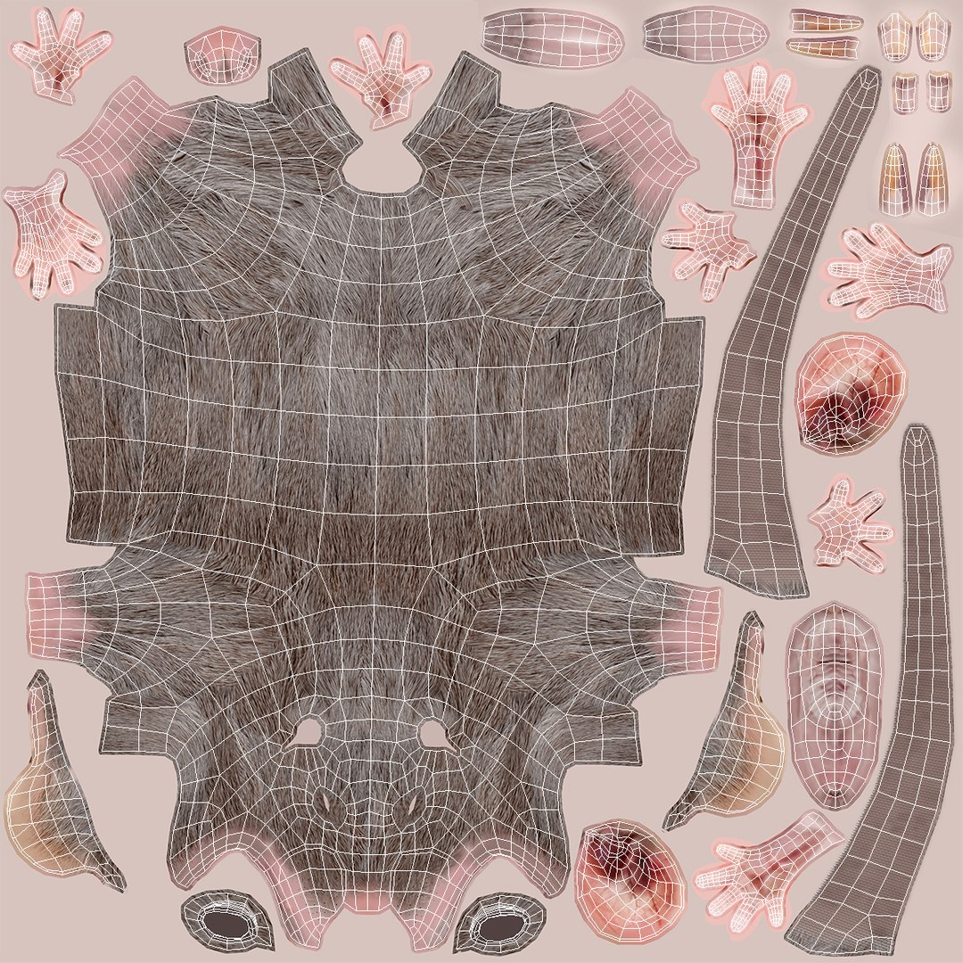 3D rat rigged https://p.turbosquid.com/ts-thumb/tt/TGOrB0/zsgx9j58/ratriggedc4dmodel012/jpg/1499836269/1920x1080/fit_q87/60cc16be621cea422afaaca5cd5d1a11a9268c04/ratriggedc4dmodel012.jpg