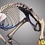 3d rat skeleton separated bones model