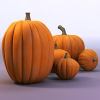 pumpkin family